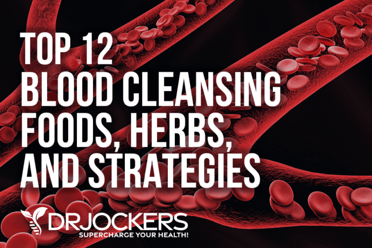 Top 12 Blood Cleansing Foods, Herbs, and Strategies - DrJockers.com